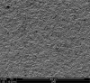 Fig 19. Traditional zirconia after particle abrasion.