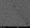 Fig 20. Translucent zirconia after particle abrasion.