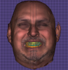 Fig 10. Aligning STL, PLY, and OBJ files to create a digital representation of the patient in a one-to-one format.