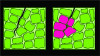 Fig 3. Depiction of how when a crack starts in tetragonal zirconia (left), the tetragonal crystals may grow larger to compress the crack (right) in a process referred to as transformation toughening. The dark green shapes represent tetragonal crystals, and the pink shapes represent the transformed crystals.