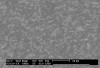 Figure 12  Scanning electron of the microstructure of In-Ceram Alumina.